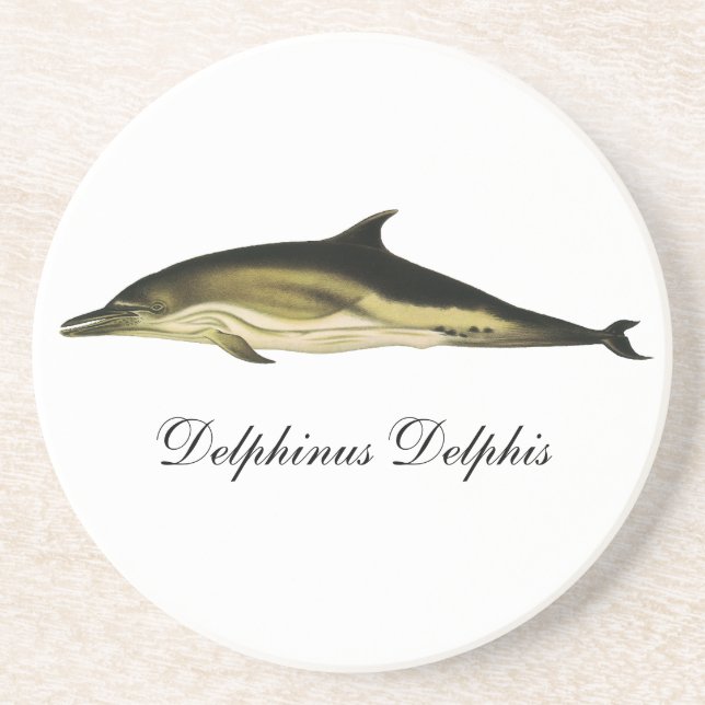 Delphinus Delphis, Vintage Meeressäugetiere Sandstein Untersetzer (Vorne)