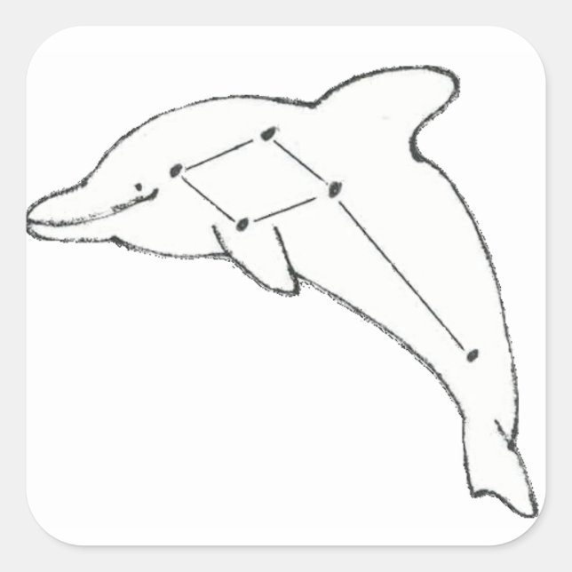 DelphinusAirways-Aufkleber Quadratischer Aufkleber (Vorderseite)