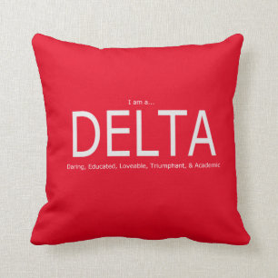 Deltabeschreibung - Rot Kissen