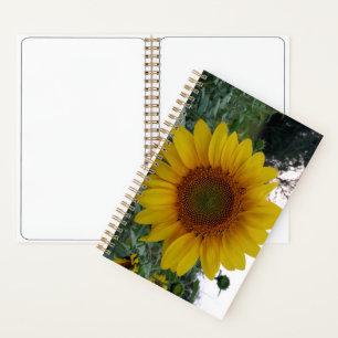 Deluxe-Spiralnotizbuch 5,5x8,5 mit Sonnenblumen-Ku Notizbuch