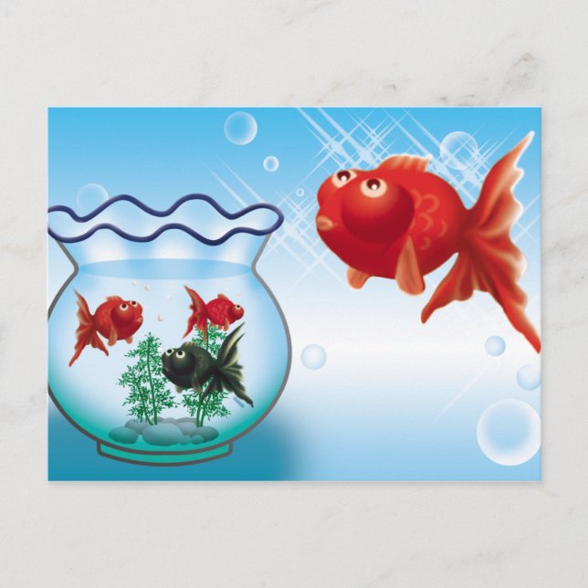 Demekin - Telescope Goldfish- Postkarte (Vorderseite)