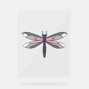 Demigirl Dragonfly Demigirl Pride Acrylschild