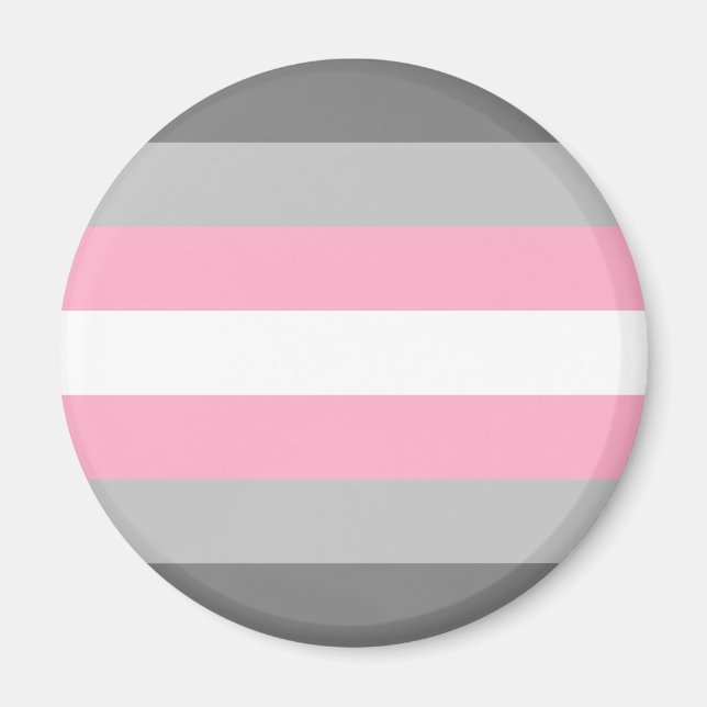Demigirl Flag LGBT Magnet (Vorne)