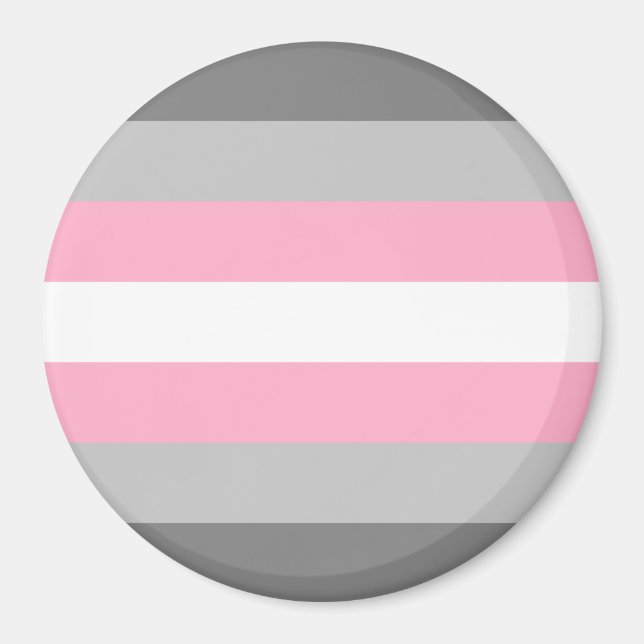 Demigirl Pride Flag Magnet (Vorne)