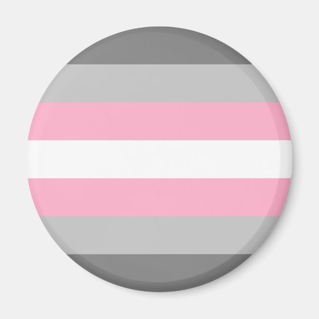 Demigirl Pride Flag Magnet (Vorne)