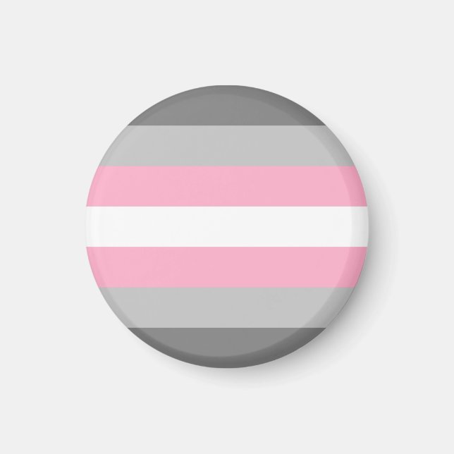 Demigirl Pride Flag Magnet (Vorne)