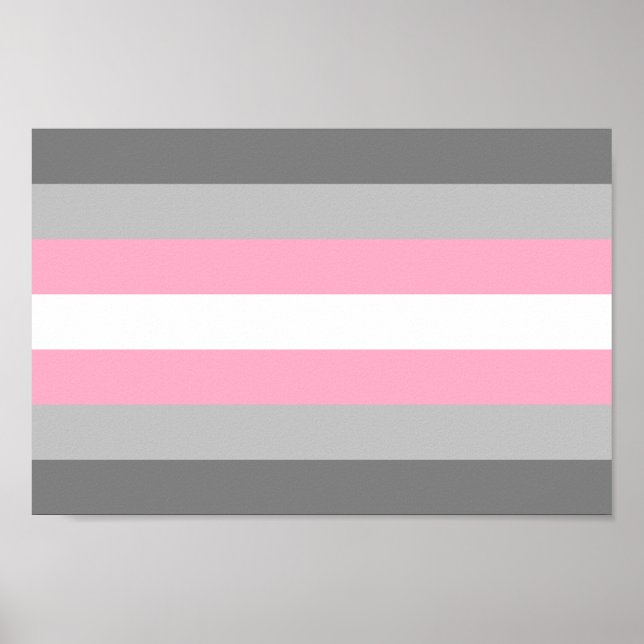 Demigirl Pride Poster (Vorne)