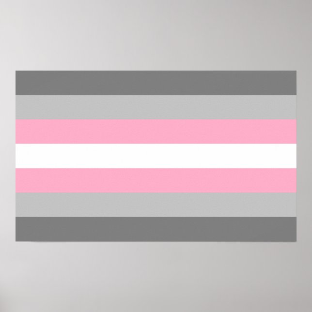 Demigirl Pride Poster (Vorne)