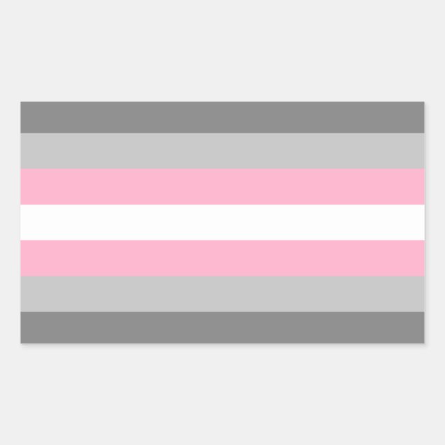 Demigirl Pride Rectangle Aufkleber (Vorderseite)