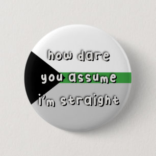 Demiromantic Pride - “How Dare You Assume” - LGBT Button
