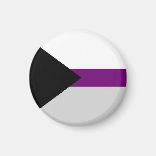 Demisexual Flag Sexualität Symbol Geschlechtsident Magnet