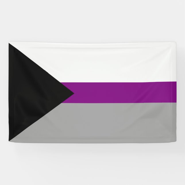 Demisexual Stolz Banner (Horizontal)