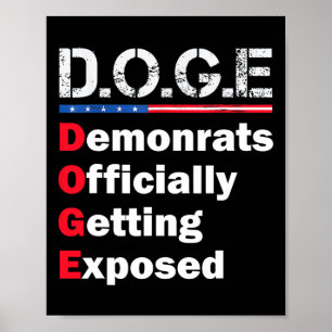 Demokrat offiziell entlarvt poster
