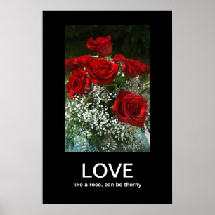 Demotivationspaket für Lieben Poster