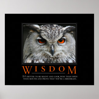 Demotivationspopster der Weisheit Poster