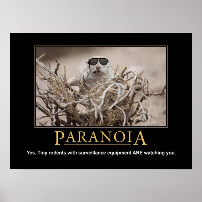 Demotivitäts-Eichhörnchenplakat: Paranoia Poster (Vorne)
