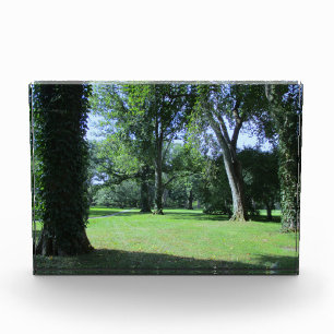 Den Greenwood betreten Fotoblock