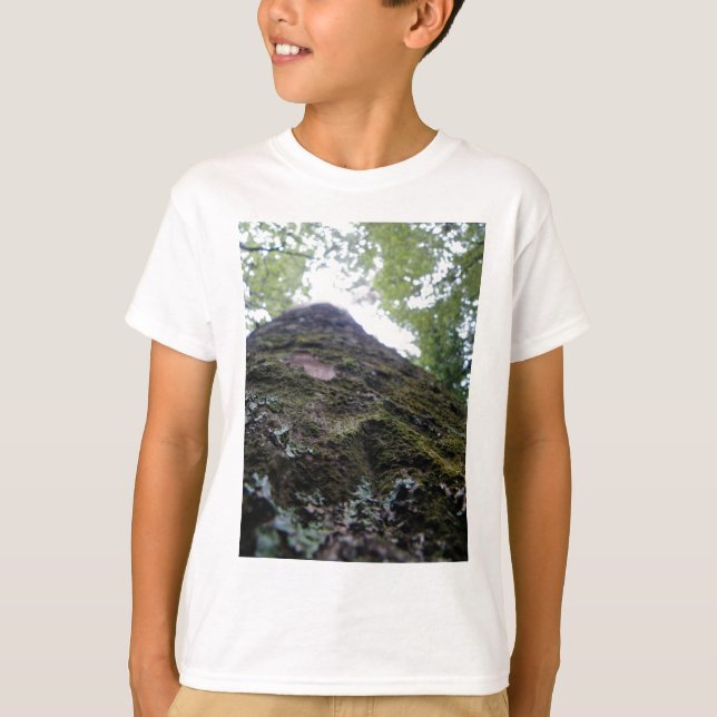 Den Kauri oben schauen T-Shirt (Vorderseite)