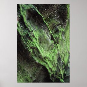 Den Moment mildern Poster