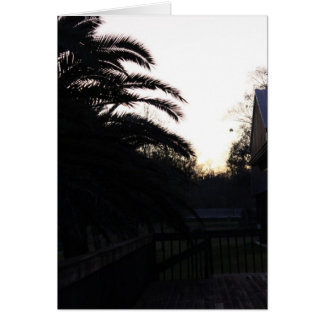 Den Sonnenuntergang beobachten