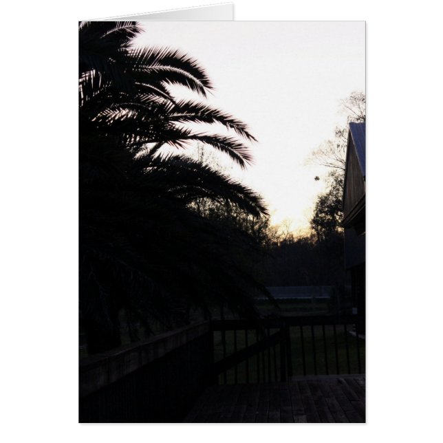 Den Sonnenuntergang beobachten (Vorne)