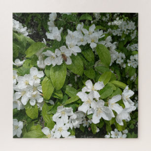 Den süßen Duft der Kirschblüten genießen Puzzle