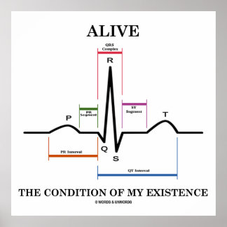 den Zustand meiner Existenz (EKG/EKG) Poster