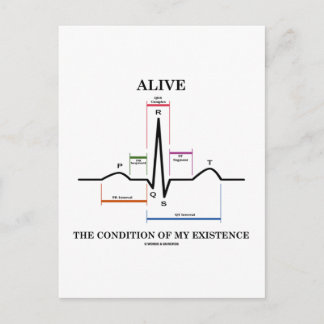 den Zustand meiner Existenz (EKG/EKG) Postkarte