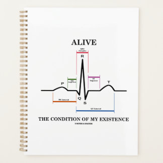Den Zustand meines Existenzsinus-Rhythmus erleben Planer
