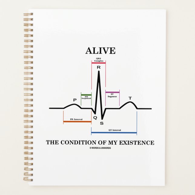 Den Zustand meines Existenzsinus-Rhythmus erleben Planer (Vorderseite)