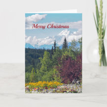 Denali 97 Weihnachten