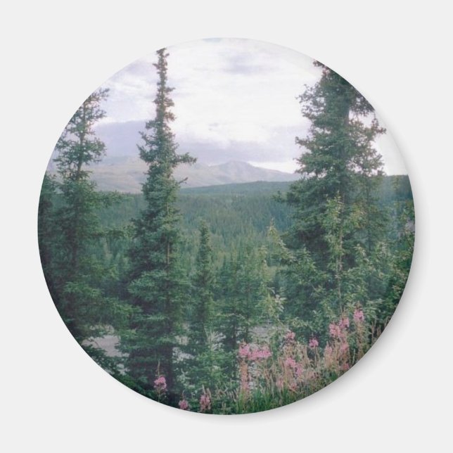 Denali - Alaska Magnet (Vorne)
