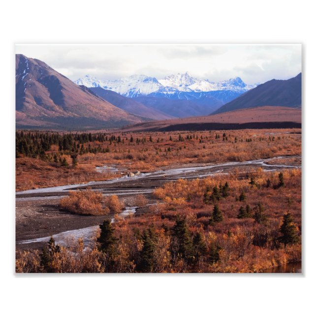 Denali, Alaska, schneebedeckte Berge, Fall, Foto (Vorne)