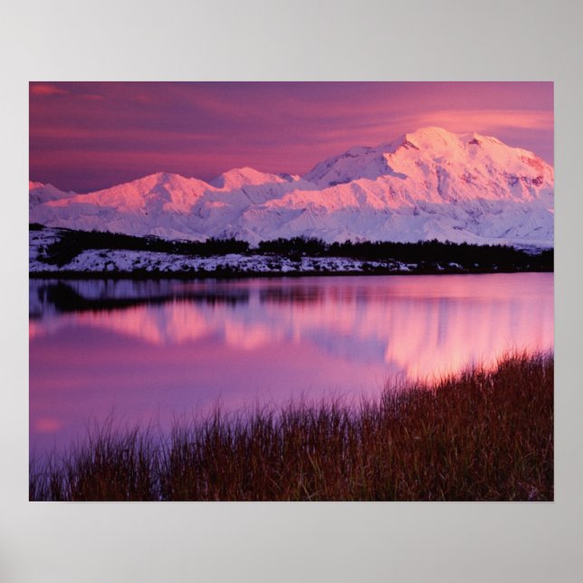 Denali bei Sonnenuntergang vom Reflektionteich Poster (Vorne)