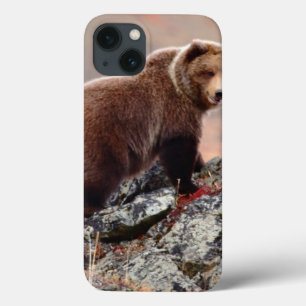 Denali Braunbär Case-Mate iPhone Hülle