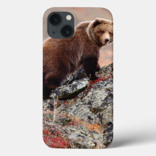 Denali Braunbär Case-Mate iPhone Hülle