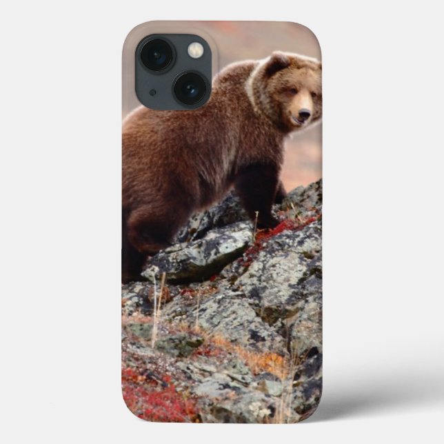 Denali Braunbär Case-Mate iPhone Hülle (Rückseite)