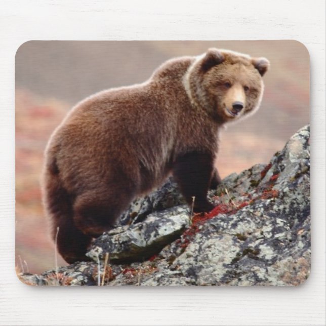 Denali Braunbär Mousepad (Vorne)