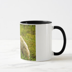 Denali Graubär Tasse