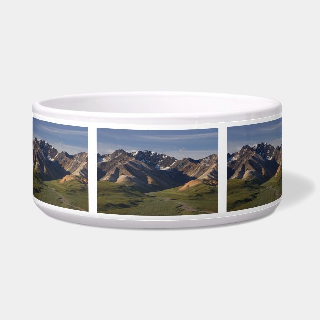 Denali Nationalpark Napf (Vorderseite)