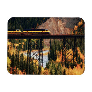 Denali Nationalpark und Konserve USA Alaska Magnet