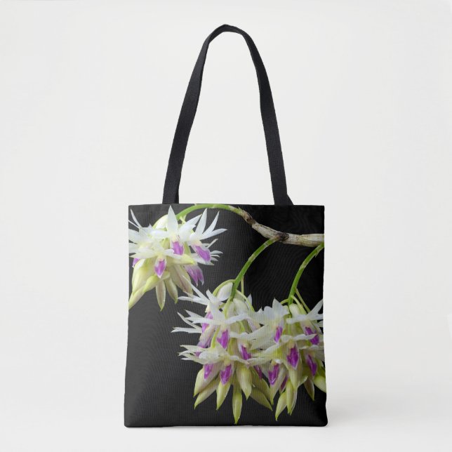 Dendrobium Amethystoglossum (Vorderseite)