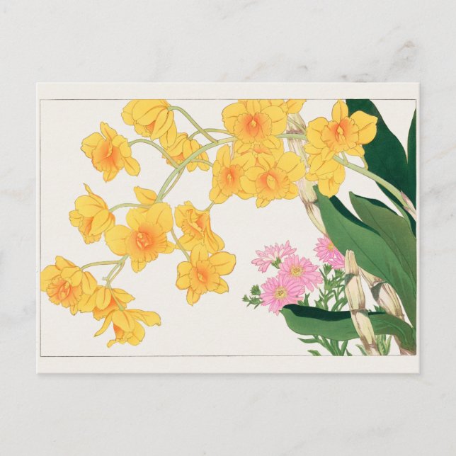 Dendrobium, China aster von Tanigami Konan Postkarte (Vorderseite)