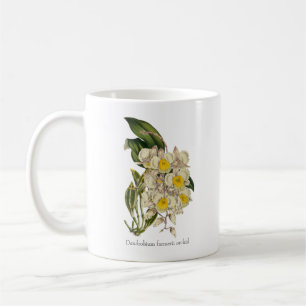 Dendrobium farmerii Orchid Kaffeetasse