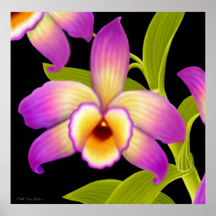 Dendrobium Nobile Orchid Print Poster
