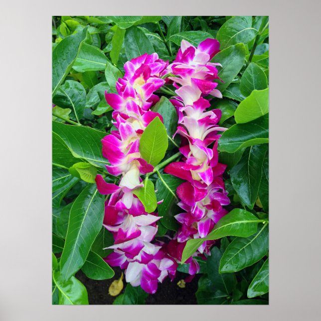 Dendrobium Orchid Lei Poster (Vorne)
