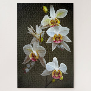 Dendroium Orchids Puzzle