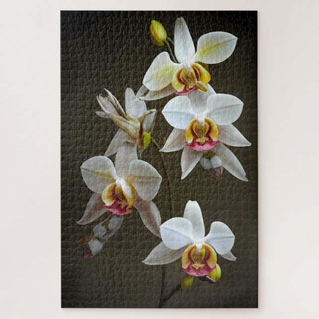 Dendroium Orchids Puzzle (Vertikal)