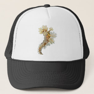 Dendronotus Truckerkappe