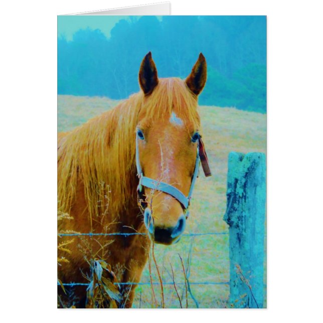 Denim Blue Tinker (Vorne)